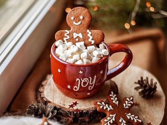Mon calendrier de l'avent : surprise n°1 ma recette de chocolat chaud de  Noël